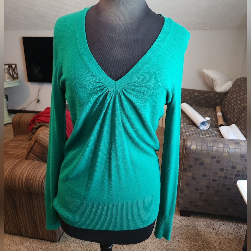 Express Green V-Neck Sweater